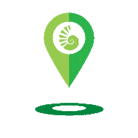 University Of West Florida Travel Sticker by UWF