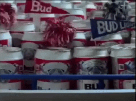 Budbowl GIF by Bud Light