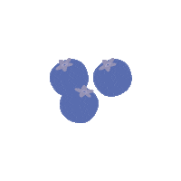 Fruit Sticker by Medical Medium