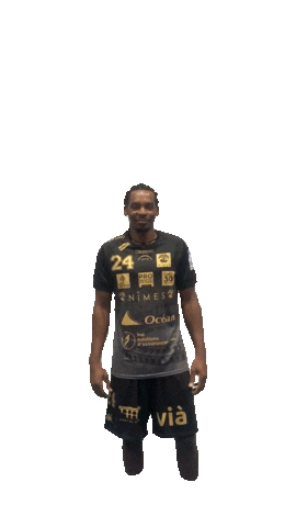 Europe Handball Sticker by USAM NIMES GARD
