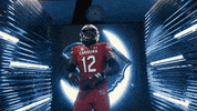 College Football GIF by gamecocksonline