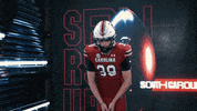College Football GIF by gamecocksonline