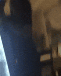 Stefano GIF