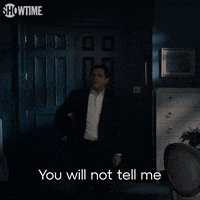 Season 2 Episode 3 GIF by SHOWTIME