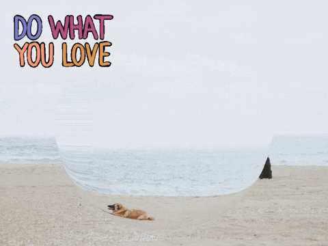 Germany Wow GIF by FranchiseCHECK.de