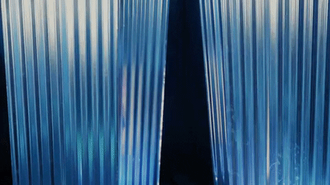 North Carolina GIF by UNC Tar Heels