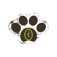 Ae Vet Sticker by AEFMV-ULisboa