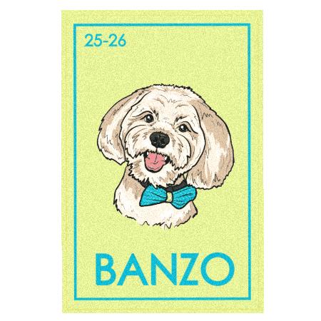 Cards Sticker by Anjelah Johnson