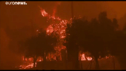Fire Greece GIF by euronews