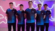 Team Fall GIF by BLAST