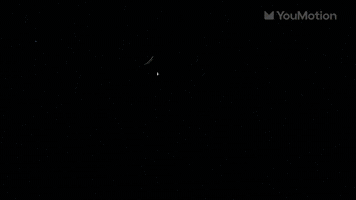 Skateboard Titles | Video |You Motion