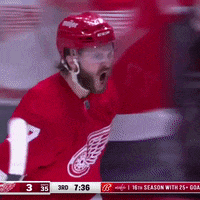 ballysportsdetroit celebration excited goal hockey GIF