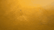 Country Music Love GIF by Kylie Morgan