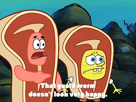 season 4 the lost mattress GIF by SpongeBob SquarePants