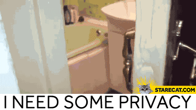 cat privacy GIF