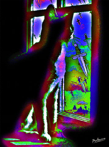 Cats No GIF by PEEKASSO