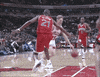 chicago bulls GIF
