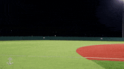 Celebration Go Navy GIF by Navy Athletics