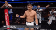 ufc 209 GIF