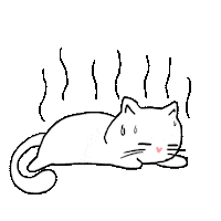 Cat Summer Sticker