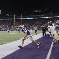 Bow Down University Of Washington GIF by Washington Athletics