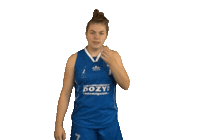 Dhbasketball Sticker by 4Consult / Binnenland