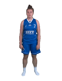 Dhbasketball Sticker by 4Consult / Binnenland