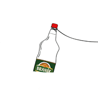 Beer Pivo GIF by branikpivo