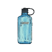 lauristongirlsschool  Sticker