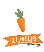 Pregnancy Carrot Sticker