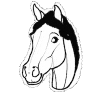 White Horse Sticker