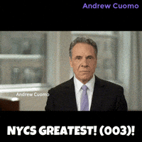 New York Vote GIF by Andrew Cuomo