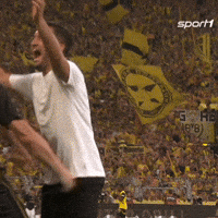 Borussia Dortmund Football GIF by SPORT1