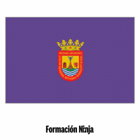 Santa Cruz De Tenerife Flag GIF by Formación Ninja