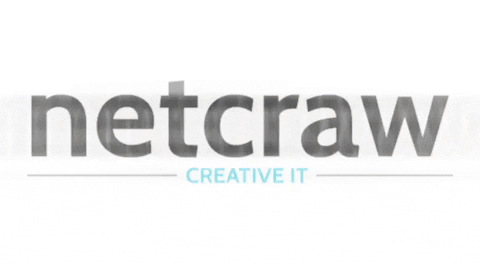 netcraw is for you netcrawit netcraw is for you GIF