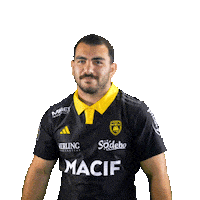Rugby Larochelle Sticker by Stade Rochelais