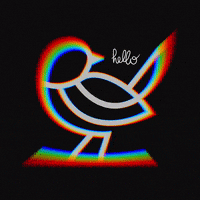 muditabar  GIF