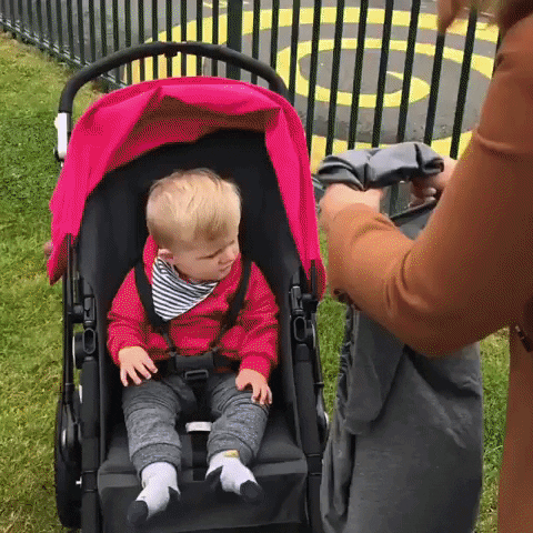 neilheffsraine giphyupload GIF