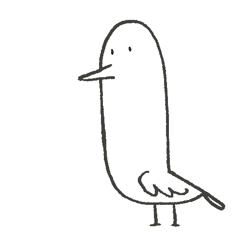architvaze giphyupload bird scream pigeon Sticker