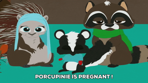 raccoon skunk GIF by South Park 