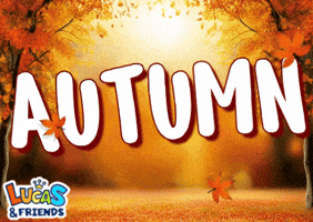 Falling Leaves Fall GIF by Lucas and Friends by RV AppStudios