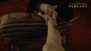 Suspicious M Night Shyamalan GIF by Apple TV+
