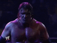 triple h hhh GIF by WWE