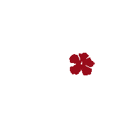 Defloraevents Sticker by DeFlora