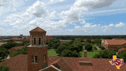 MSUTexas texas msu mustangs wichita falls GIF