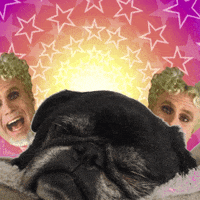 happy will ferrell GIF by GIPHY CAM
