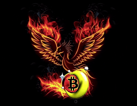 AJBitcoiner  GIF