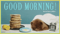 Good_Morning_2.mp4WINNER