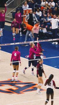 Celebration Pink GIF by Auburn Tigers
