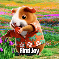 Find Joy GIF by Guinea Gambino
